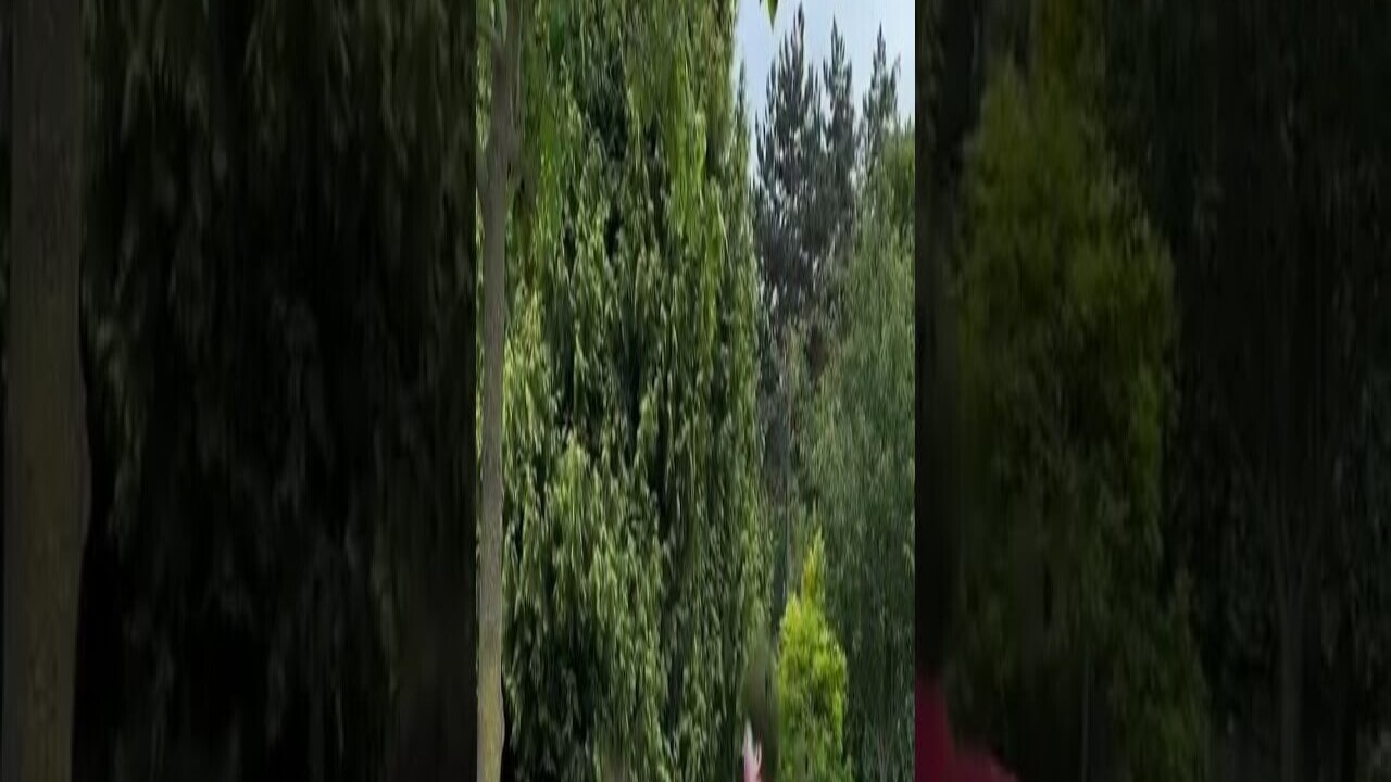 Preload Image