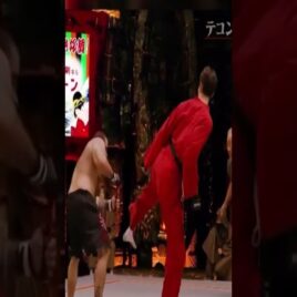 Real life Mortal Kombat! TKD vs Street fighter!