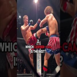 Which MMA knockout is best??